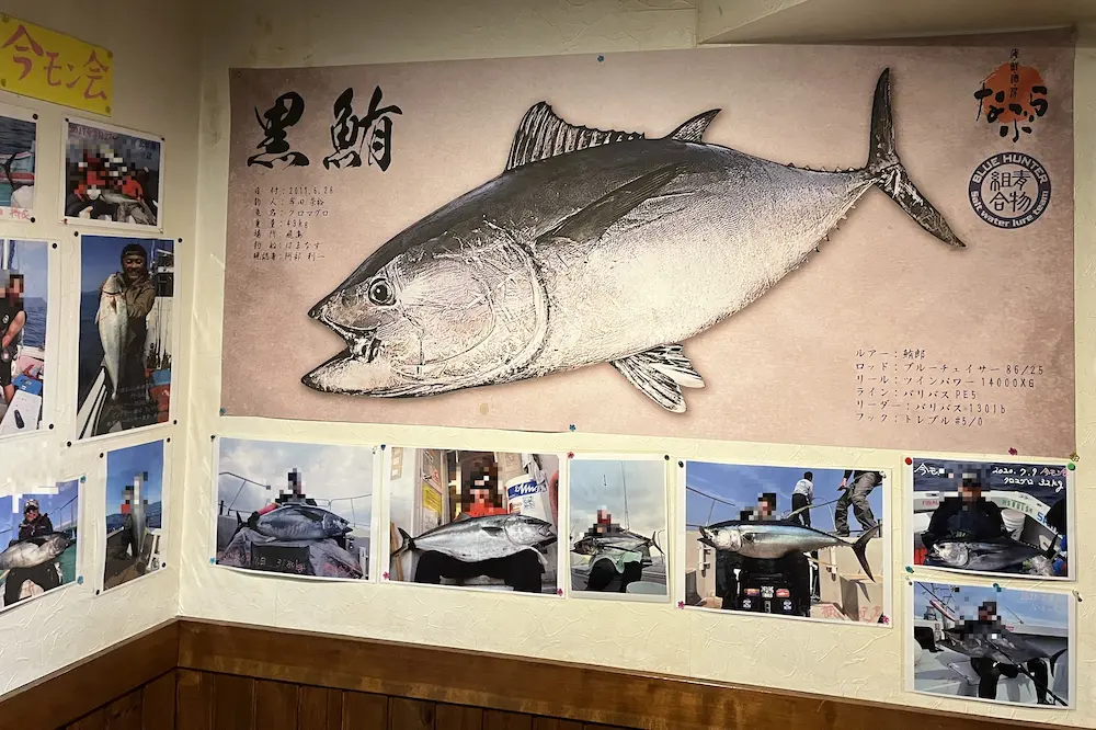 クロマグロ